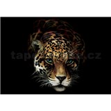 Vliesové fototapety jaguár rozměr 368 cm x 254 cm