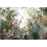 Vliesové fototapety luční květy rozměr 368 cm x 254 cm