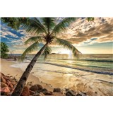 Vliesové fototapety palma a pláž rozměr 368 cm x 254 cm