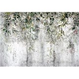 Vliesové fototapety betonová zeď s popínavými rostlinami rozměr 368 cm x 254 cm