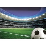 Vliesové fototapety fotbalový stadion s míčem rozměr 368 cm x 254 cm