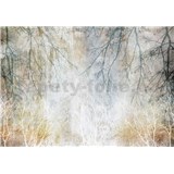 Vliesové fototapety beton s větvemi rozměr 368 cm x 254 cm