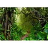 Vliesové fototapety stezka v džungli rozměr 368 cm x 254 cm