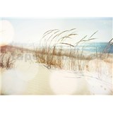 Vliesové fototapety stébla trávy na pláži rozměr 368 cm x 254 cm