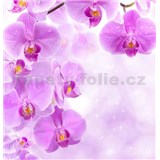 Vliesové fototapety fialová orchidej rozměr 312 cm x 219 cm