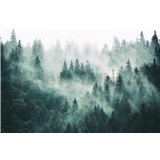 Vliesové fototapety les v mlze rozměr 375 cm x 250 cm
