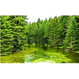 Fototapety lesní jezero rozměr 368 cm x 254 cm - POSLEDNÍ KUSY