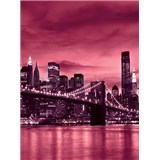 Vliesové fototapety Brooklyn Bridge rozměr 208 cm x 146 cm