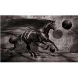 Fototapety 3D kůň rozměr 368 cm x 254 cm
