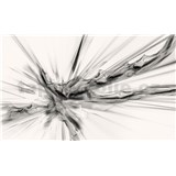 Vliesové fototapety abstrakce černo-bílá rozměr 312 cm x 219 cm