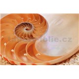 Fototapety National Geographic Nautilus rozměr 184 cm x 127 cm - POSLEDNÍ KUS
