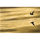 Fototapety National Geographic Reflection rozměr 184 cm x 127 cm - POSLEDNÍ KUSY