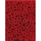 Fototapety červené růže rozměr 194 cm x 270 cm - POSLEDNÍ KUS