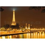 Fototapety Eiffelova věž v noci rozměr 366 cm x 254 cm