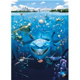Fototapeta Disney Nemo rozměr 184 cm x 254 cm