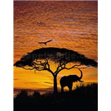 Fototapety Afrika rozměr 194 cm x 270 cm