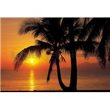 Fototapety Palmy Beach Sunrise rozměr 368 cm x 254 cm - POSLEDNÍ KUSY