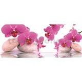 Vliesové fototapety orchidej s kameny rozměr 250 cm x 104 cm