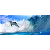 Vliesové fototapety delfín rozměr 250 cm x 104 cm