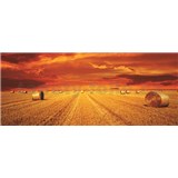 Vliesové fototapety západ slunce rozměr 250 cm x 104 cm