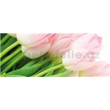 Vliesové fototapety tulipány rozměr 250 cm x 104 cm