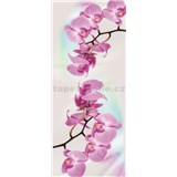 Vliesové fototapety orchidej rozměr 91 cm x 211 cm