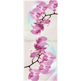 Vliesové fototapety orchidej rozměr 91 cm x 211 cm