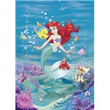 Fototapety Disney Malá mořská víla Ariel zpívá rozměr 184 cm x 254 cm