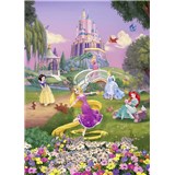 Fototapety Disney Princess západ slunce rozměr 184 cm x 254 cm