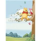 Fototapety Disney Medvídek Pú na stromě rozměr 184 cm x 254 cm - POSLEDNÍ KUSY