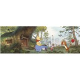 Fototapety Disney Medvídek Pú dům Medvídka Pú rozměr 368 cm x 127 cm