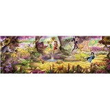 Fototapety Disney Víly les rozměr 368 cm x 127 cm