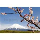 Fototapety japonská sopka s květy rozměr 368 cm x 254 cm