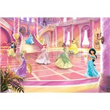 Fototapety Disney Princess třpytivá párty rozměr 368 cm x 254 cm