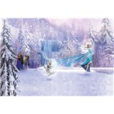 Fototapety Disney Frozen les rozměr 368 cm x 254 cm