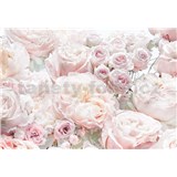 Fototapety jarní růže rozměr 368 cm x 254 cm