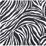 Samolepící tapety - zebra 90 cm x 15 m