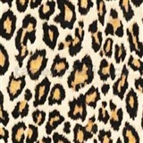 Samolepící tapety leopardí kůže hnědá 45 cm x 15 m