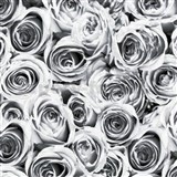 Samolepící tapety růže šedé 45 cm x 15 m