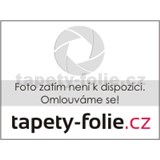 Samolepící fólie MINT GLOSS - 45 cm x 2 m (cena za kus)