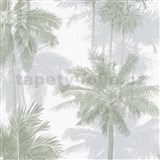 Vliesové tapety na zeď IMPOL Giulia palmy šedo-zelené  - POSLEDNÍ KUSY
