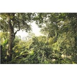 Vliesové fototapety džungle rozměr 368 cm x 248 cm - POSLEDNÍ KUSY