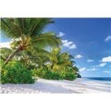 Fototapety palmy na pláži rozměr 368 cm x 254 cm