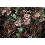 Fototapety Velvet rozměr 368 cm x 254 cm - POSLEDNÍ KUSY