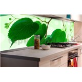 Samolepící tapety za kuchyňskou linku zelené listy rozměr 180 cm x 60 cm - POSLEDNÍ KUSY