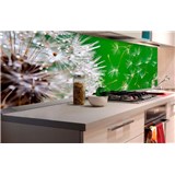 Samolepící tapety za kuchyňskou linku pampelišky rozměr 180 cm x 60 cm - POSLEDNÍ KUSY