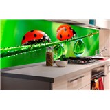 Samolepící tapety za kuchyňskou linku slunéčko sedmitečné rozměr 180 cm x 60 cm - POSLEDNÍ KUSY