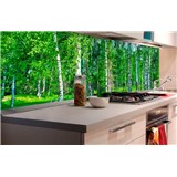 Samolepící tapety za kuchyňskou linku březový les rozměr 180 cm x 60 cm - POSLEDNÍ KUSY