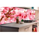 Samolepící tapety za kuchyňskou linku jabloňově květy rozměr 180 cm x 60 cm - POSLEDNÍ KUSY