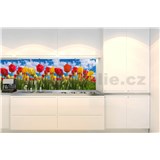 Samolepící tapety za kuchyňskou linku barevné tulipány rozměr 180 cm x 60 cm